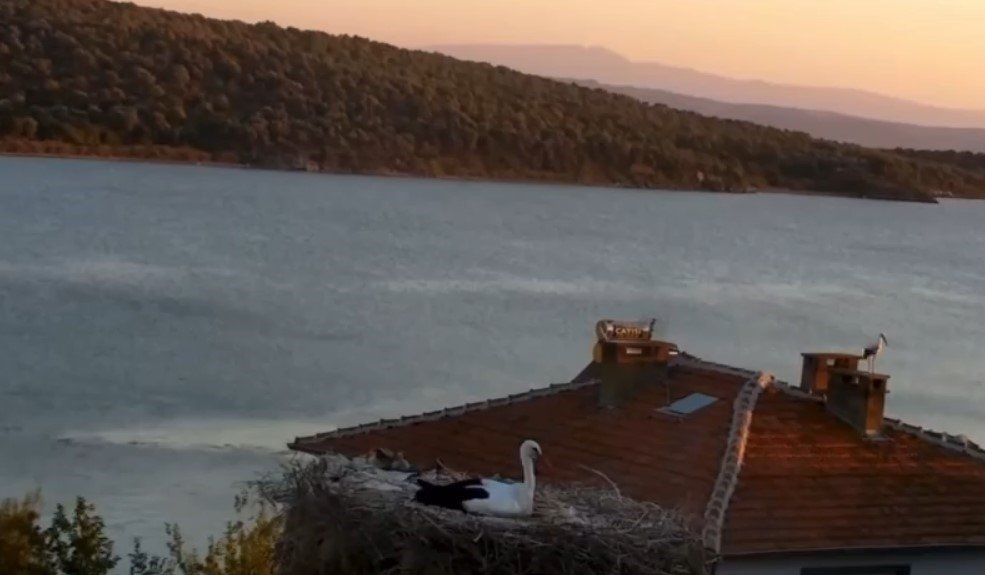 Depremi önceden hissetti