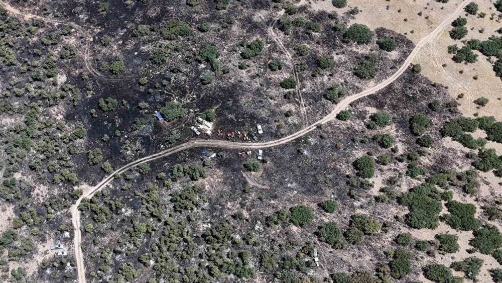 Konya’da ormanlık alanda yangın paniği