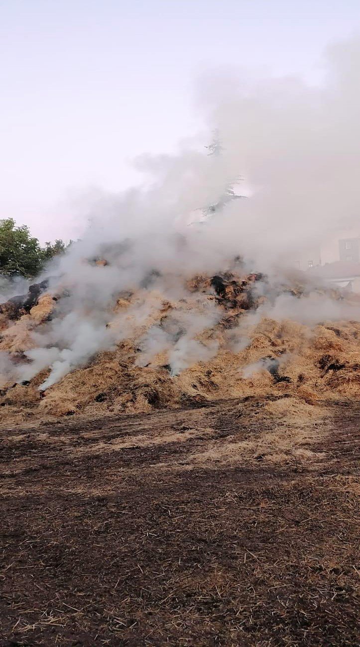 Konya'da balyadan yangın çıktı