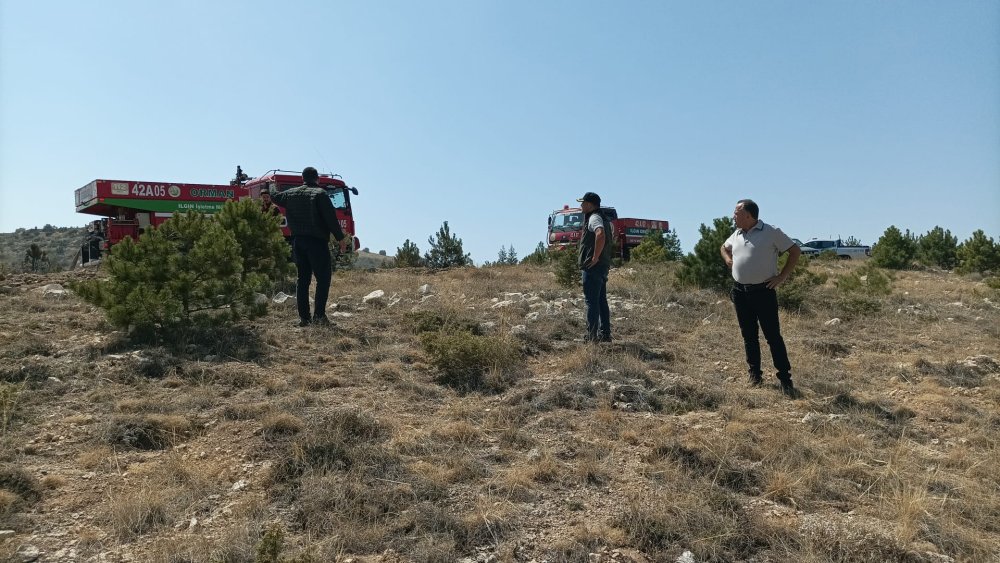 Konya'da korku dolu anlar! Ormana sıçradı