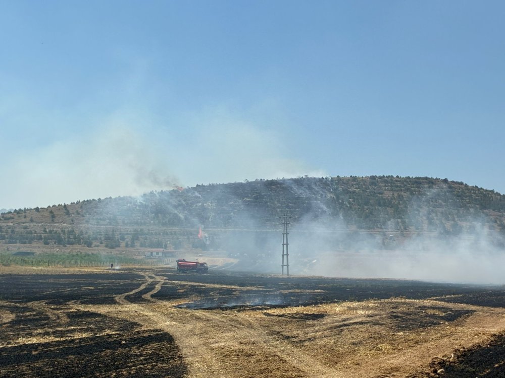 Konya'da korku dolu anlar! Ormana sıçradı