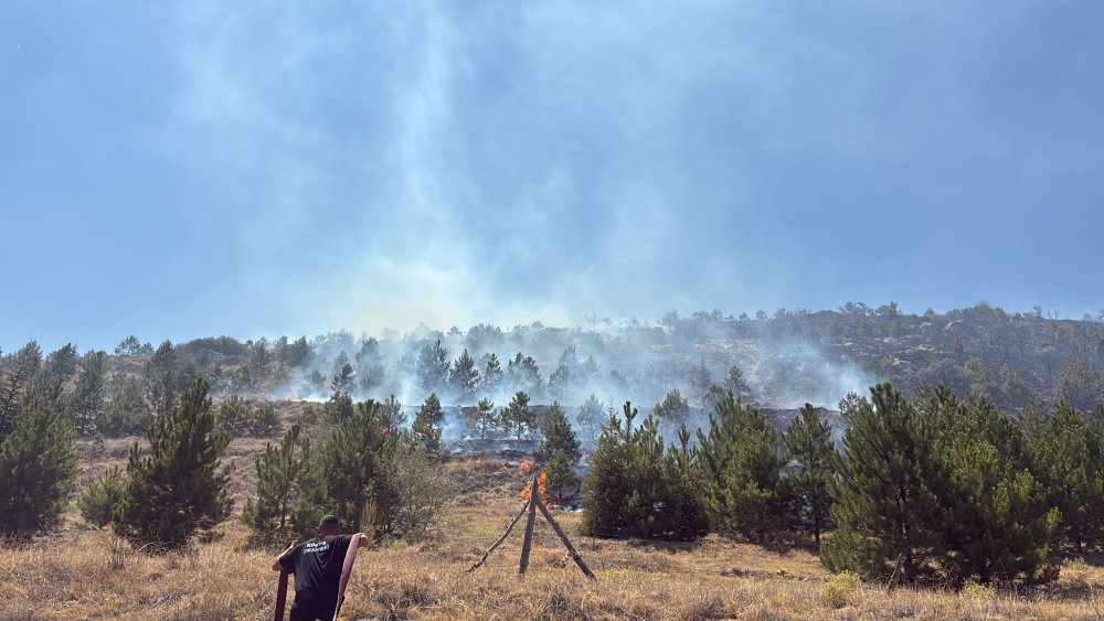 Konya'da korku dolu anlar! Ormana sıçradı