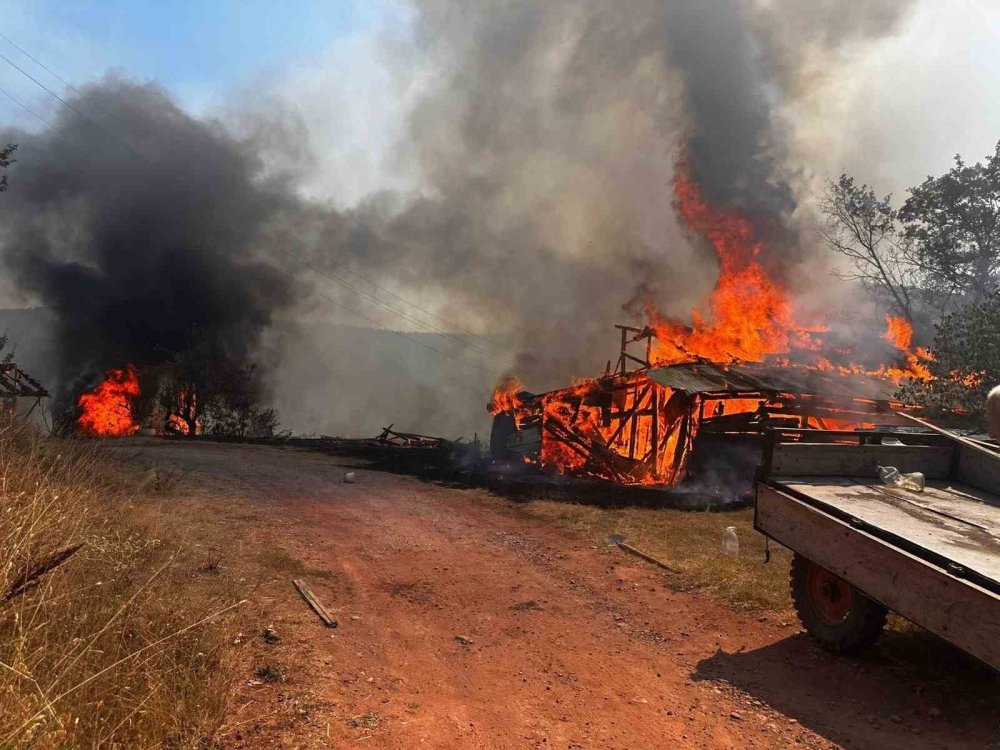 5 samanlık kül oldu