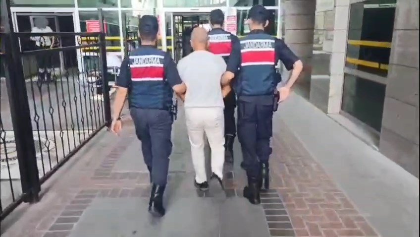 Bahçesini kenevir tarlasına çeviren şüpheli tutuklandı