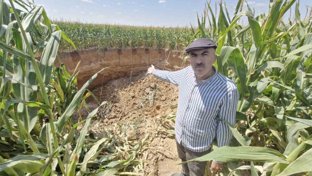 Konya'dan sonra Karaman'da da sayıları artmaya başladı