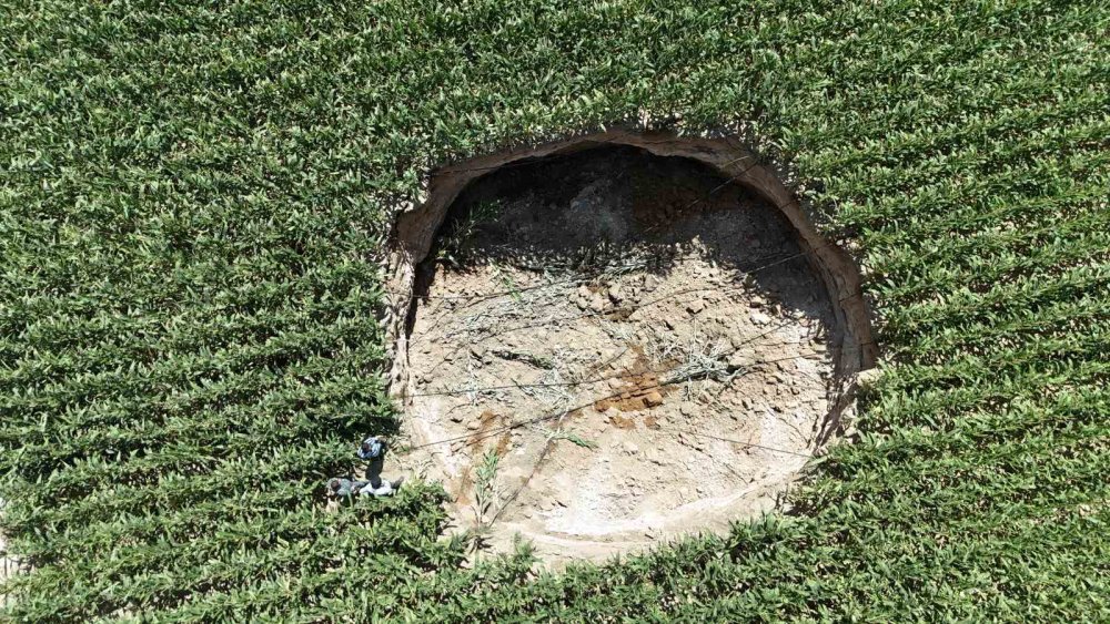 Konya'dan sonra Karaman'da da sayıları artmaya başladı