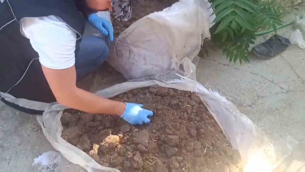 Konya’da zehir tacirlerine operasyon: Binlercesi ele geçirildi