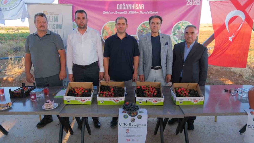 Konya'nın süper meyvesi! Yüksek gelir kazandırıyor