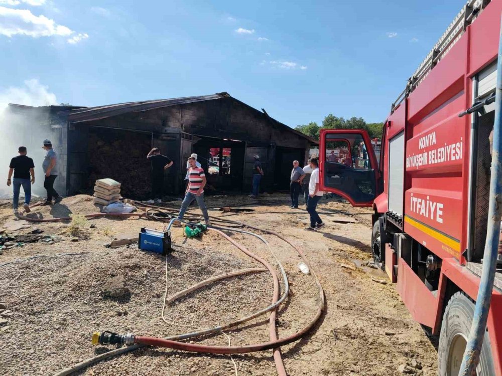 Konya'da acı olay! Hayvanlar samanlarla birlikte kül oldu