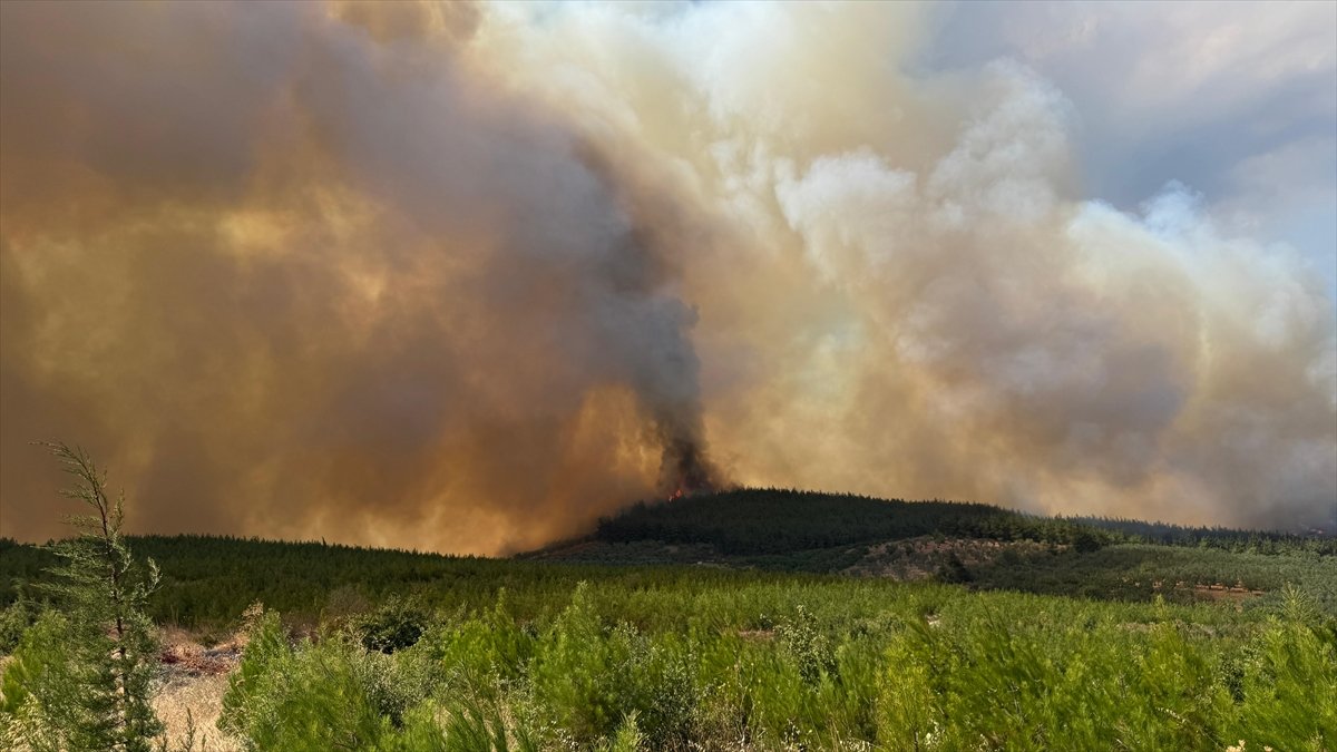 bursada-cikan-orman-yanginina-mudahale-ediliyor.jpg