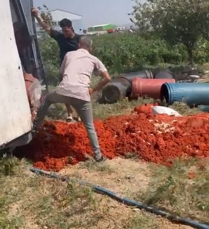 Salça denetimi... 6 ton domates posası imha edildi