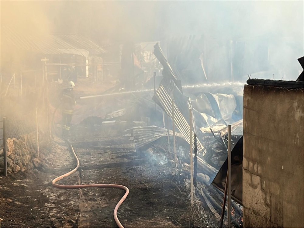 Damat 4’ü ev, 12 yapıyı yaktı!