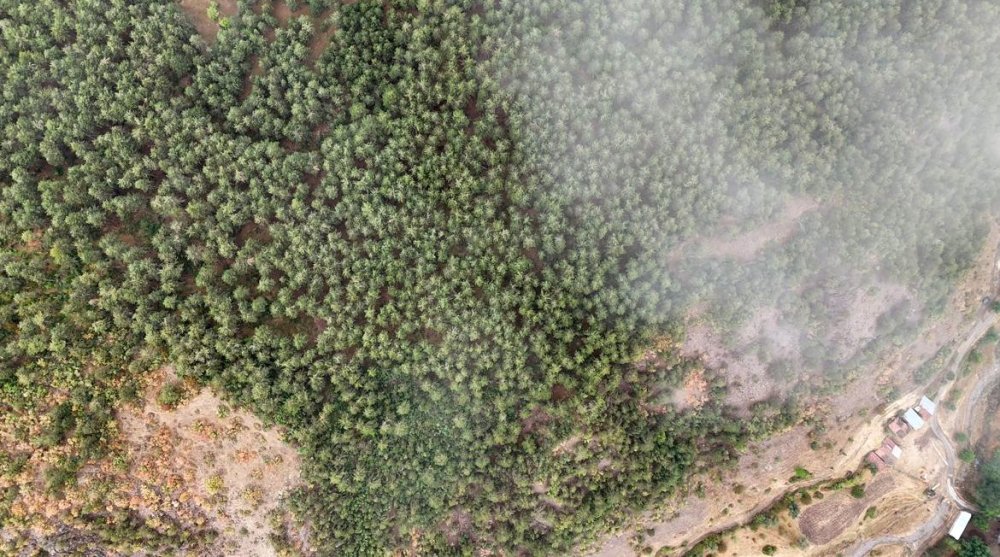 Sis kartpostallık görüntüler oluşturdu