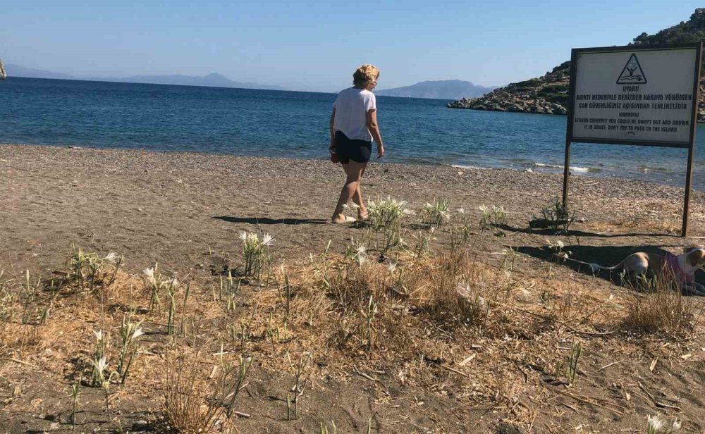 Konyalı çift cezayı duyunca yanından bile geçemedi!