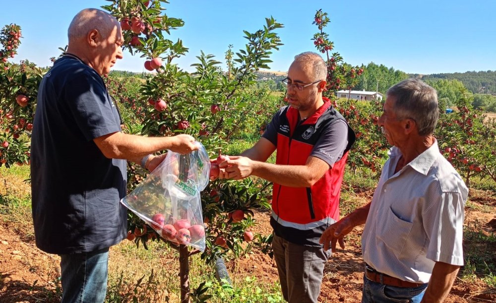 Konya'nın ilçesinde hasat öncesi pestisit denetimleri gerçekleştirildi