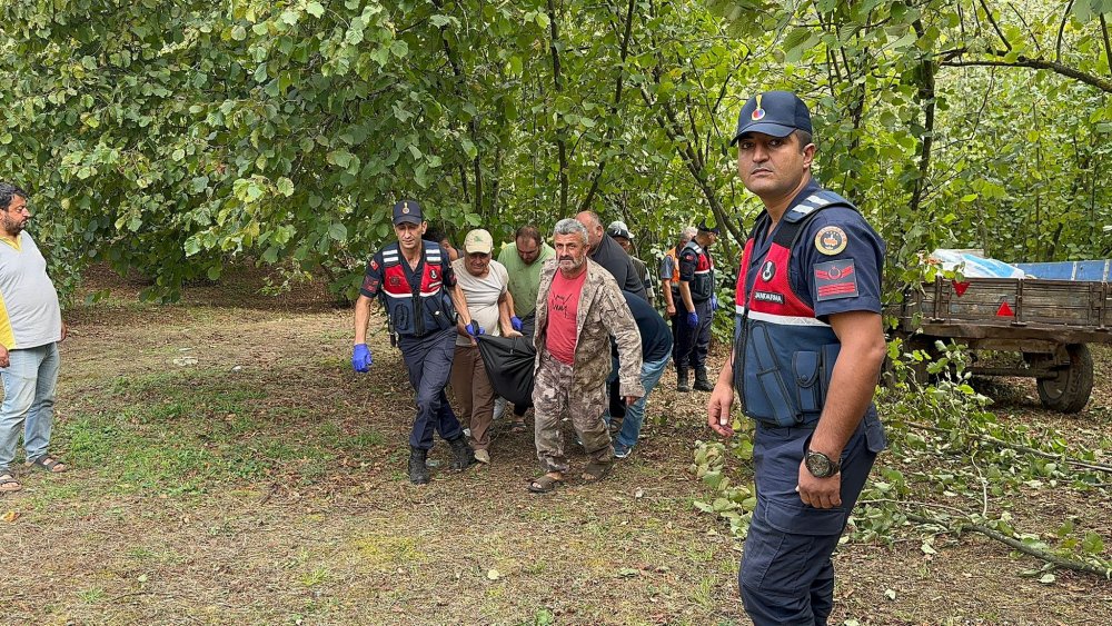 Sakarya'da ağaç ile teker arasında can verdi