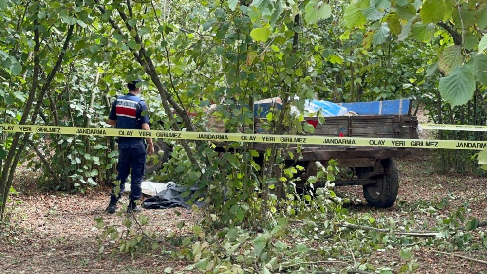 Sakarya'da ağaç ile teker arasında can verdi