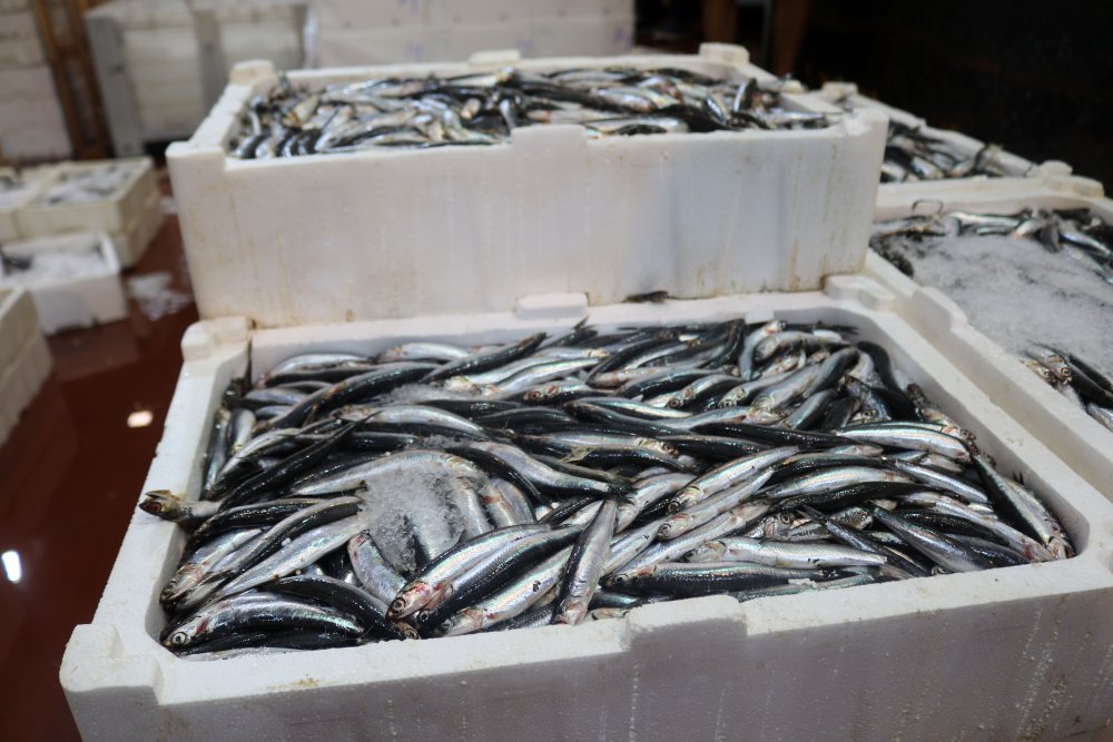 Kilo fiyatına bir kasa!