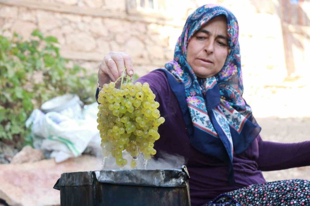 Konya’nın yeşil altını... Rengini güneşten değil, gölgeden alıyor
