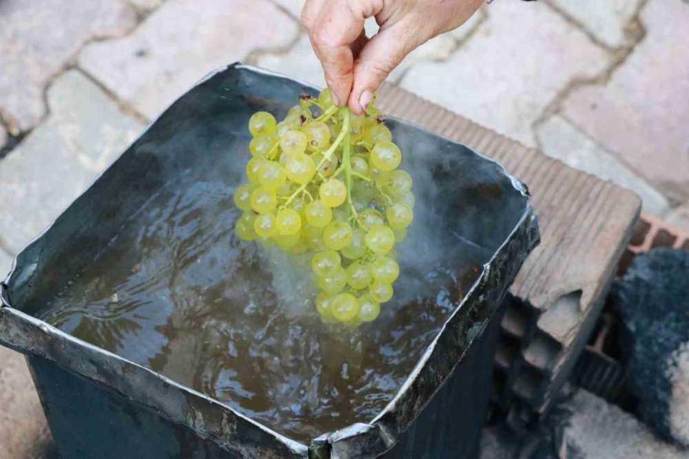 Konya’nın yeşil altını... Rengini güneşten değil, gölgeden alıyor