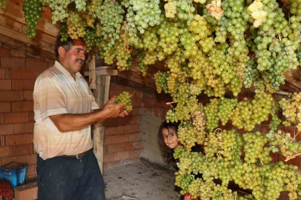 Konya’nın yeşil altını... Rengini güneşten değil, gölgeden alıyor