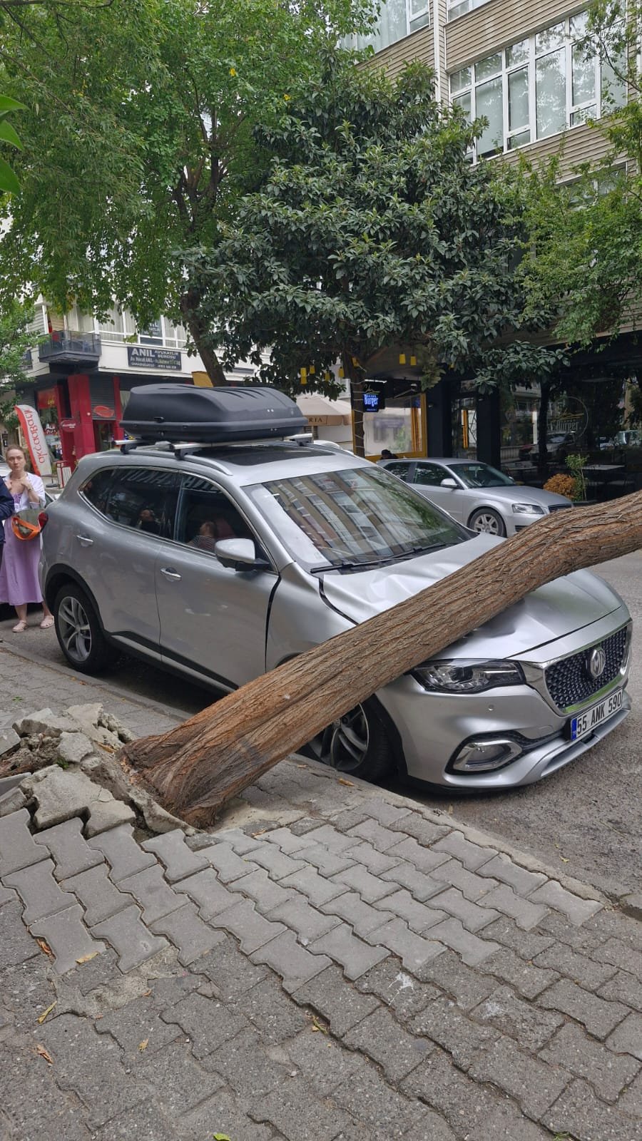 Ağaç, otomobilin üzerine düştü