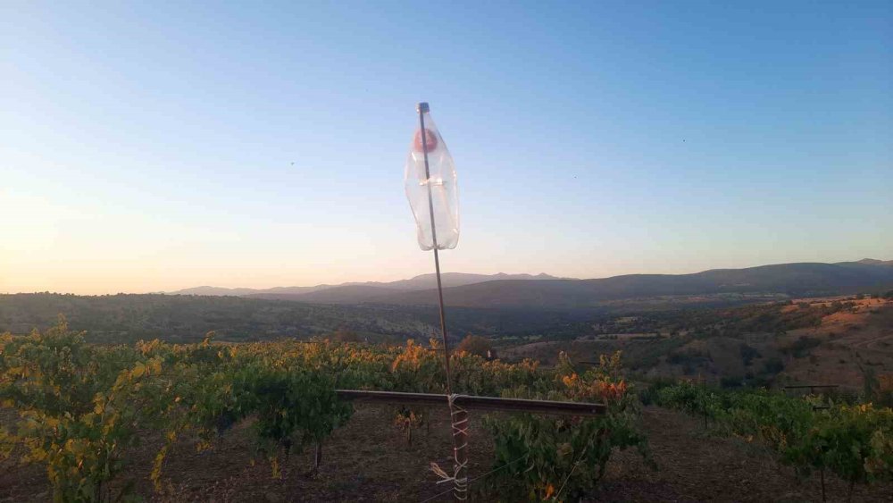 Konya'daki çiftçi nöbette! Sıfır maliyet