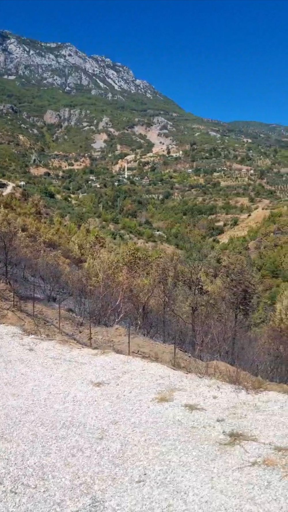 Orman yangınlarında 400 hektar alan zarar gördü