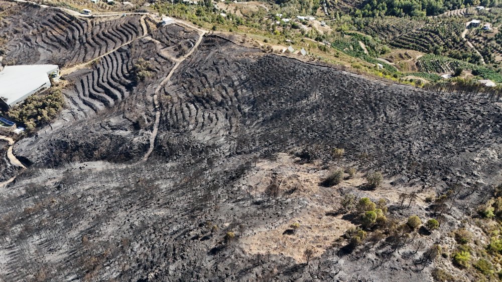 Antalya'daki orman yangınlarında 1350 hektar alan zarar gördü