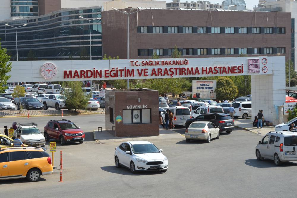 Çıktığı ağaç muhtarı hayattan kopardı
