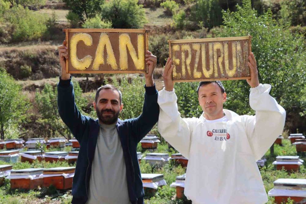 Arılarına yazmayı öğretti