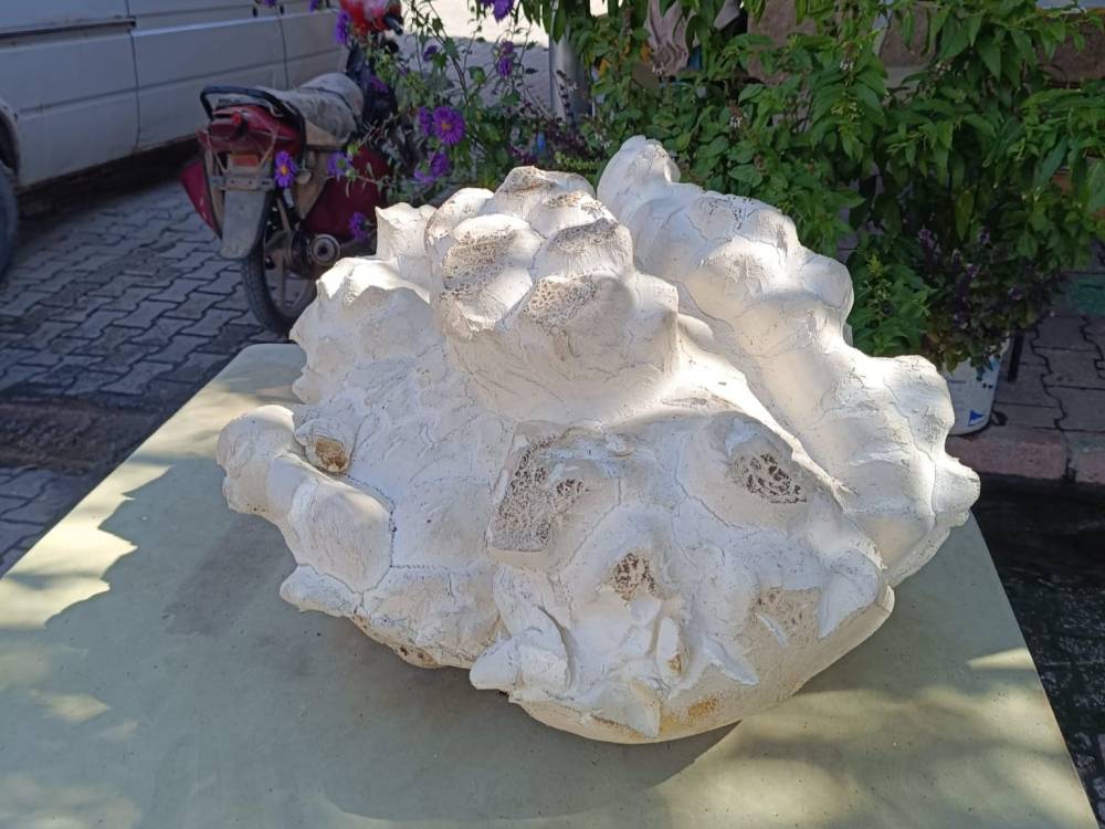 Konya’da bulundu, dev kadar! Köylüler görünce şok oldu: Büyüklüğüne inanamadım