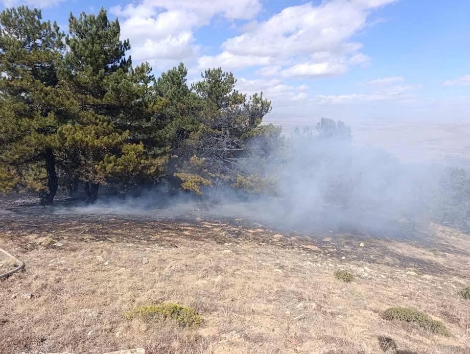 Konya'da meşhur piknik alanında yangın!