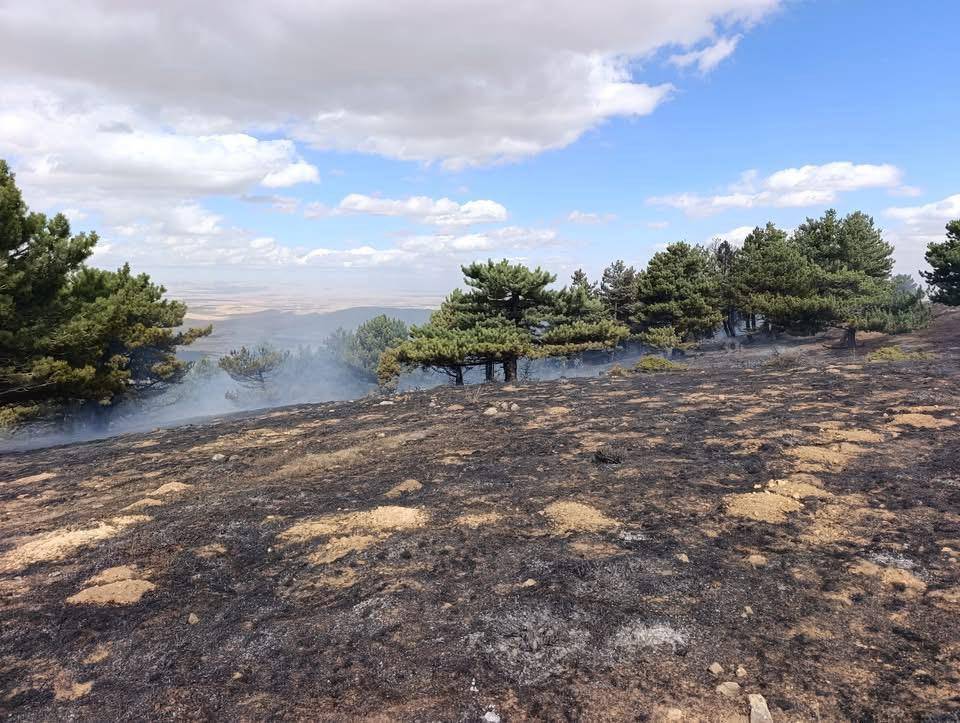 Konya'da meşhur piknik alanında yangın!