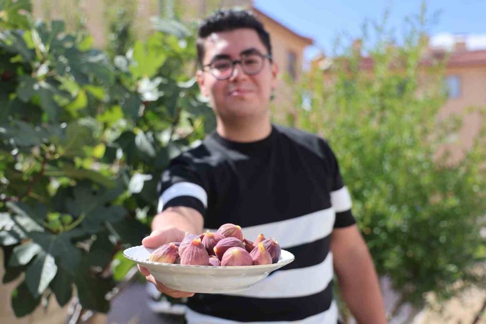 Konya'daki genç apartman bahçesinde yetiştirdi! Gören, duyan şaşırıyor