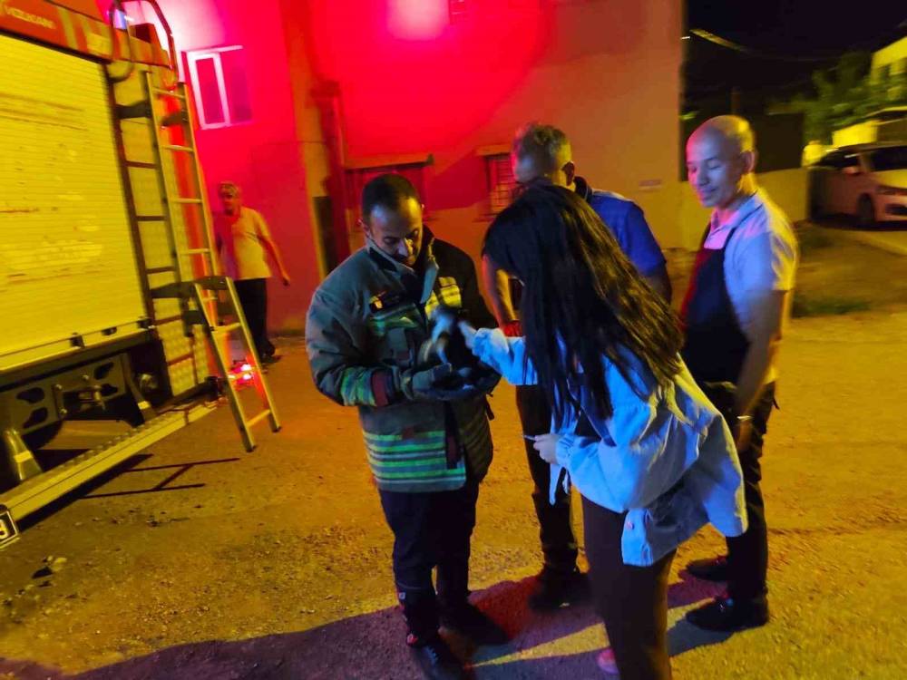 Reklam panosunda mahsur kaldı