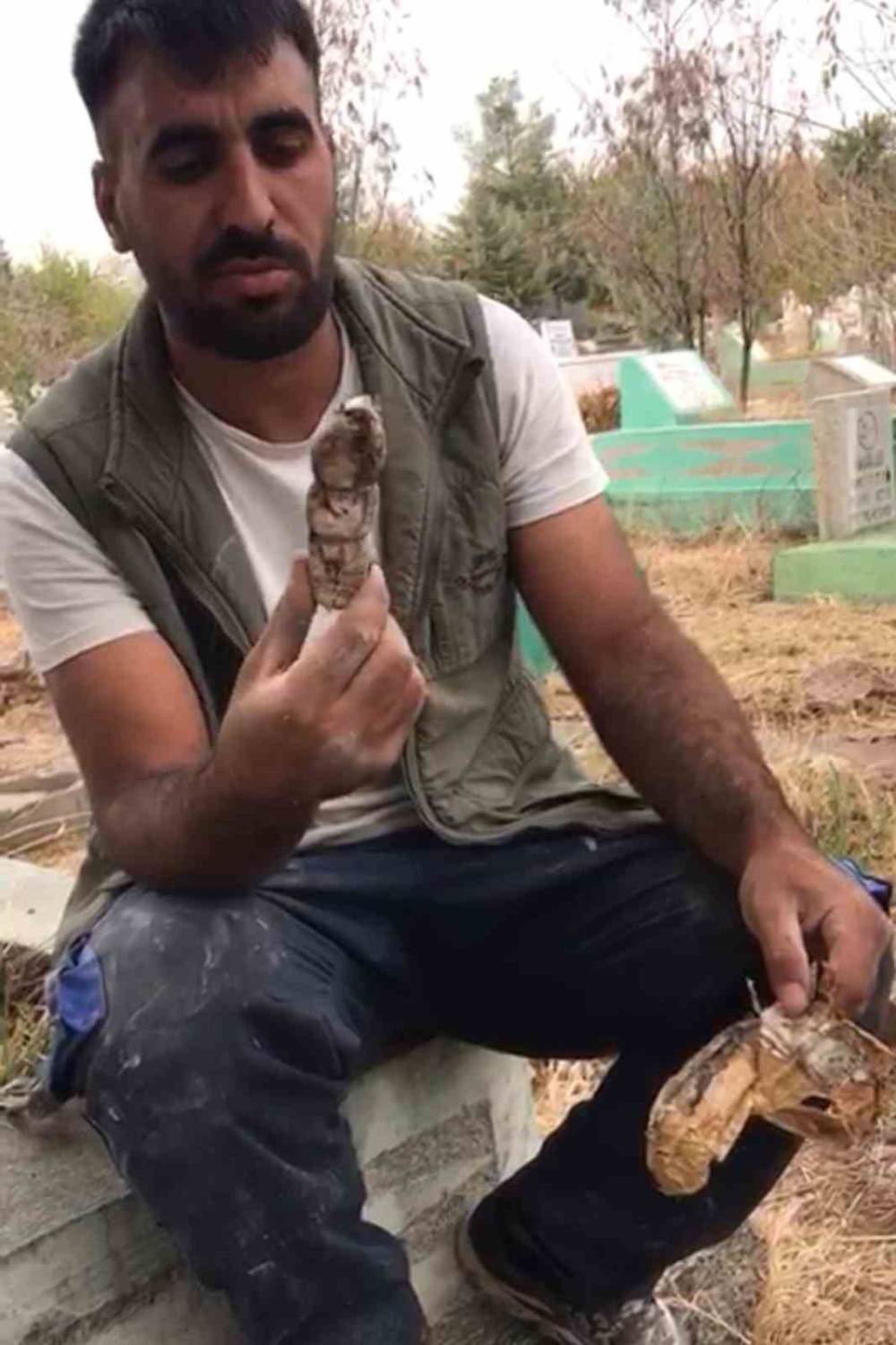 Mezarlıktan kefenlenmiş oyuncak bebek çıktı