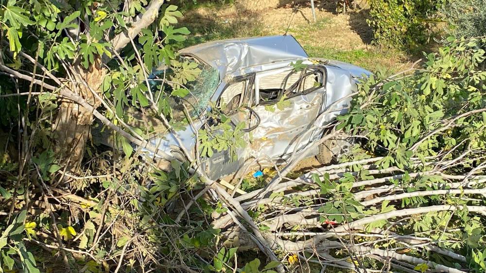 Üzüm bağına devrilen otomobilin sürücüsü öldü