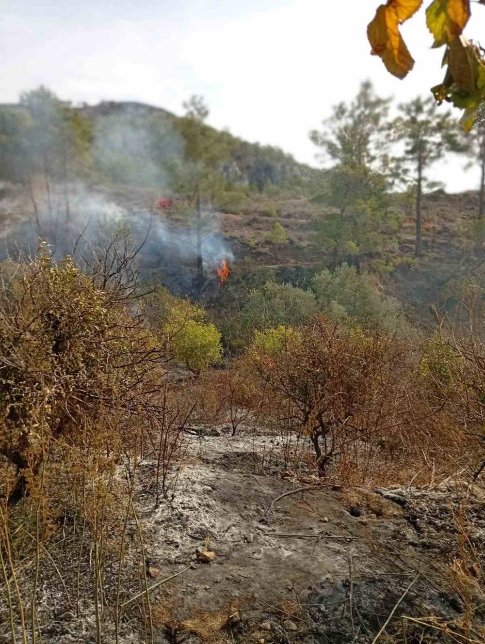 Yaşlı adam, bahçesini temizlerken yangında hayatını kaybetti