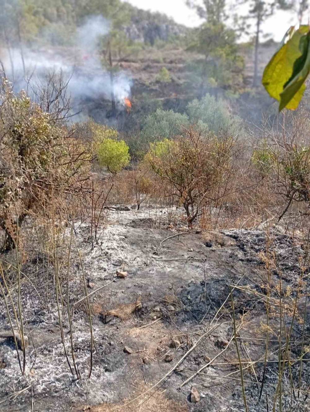 Yaşlı adam, bahçesini temizlerken yangında hayatını kaybetti