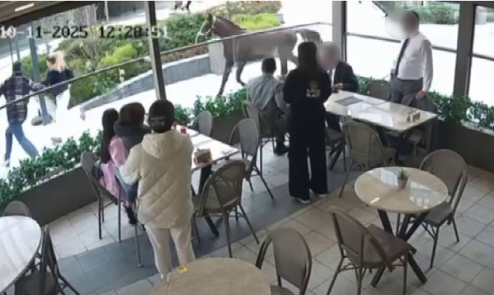 Başıboş at vatandaşları dakikalarca kovaladı