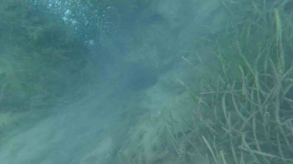 Sapanca Gölü’ndeki endişelendiren kabarcıklar!