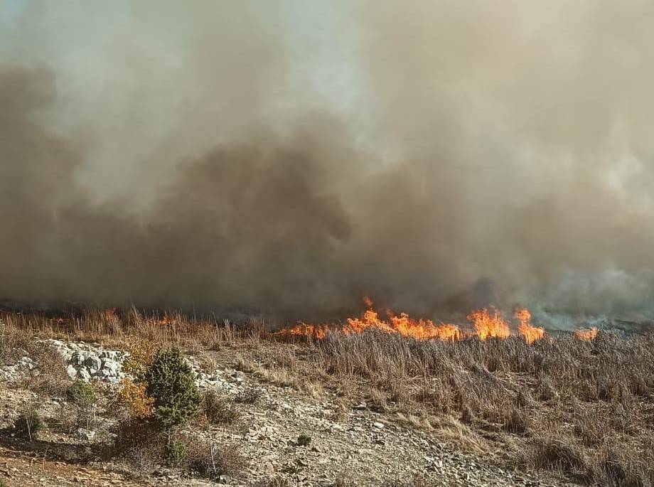 Konya'da sazlıklar alev alev yandı