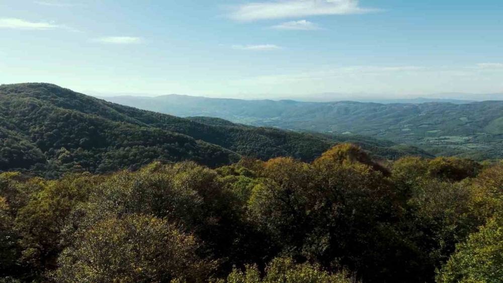 Sonbahar renklerine bürünen ormanlar görüntülendi