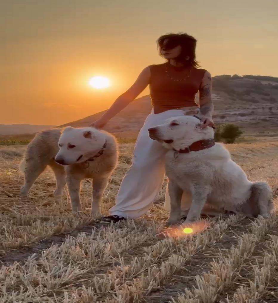 Türk çoban köpeklerini dünyaya tanıtıyor