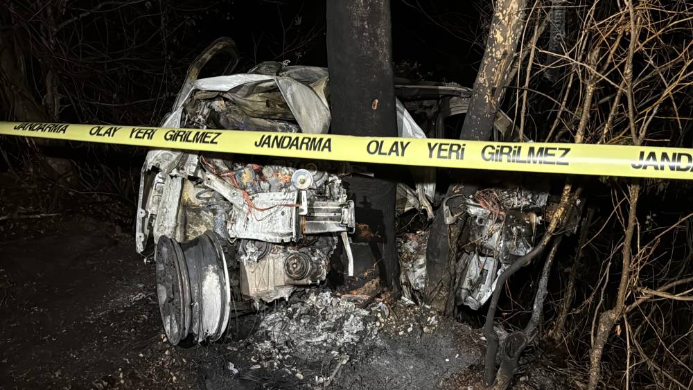 Ağaca çarpan hafif ticari aracın sürücüsü yanarak öldü