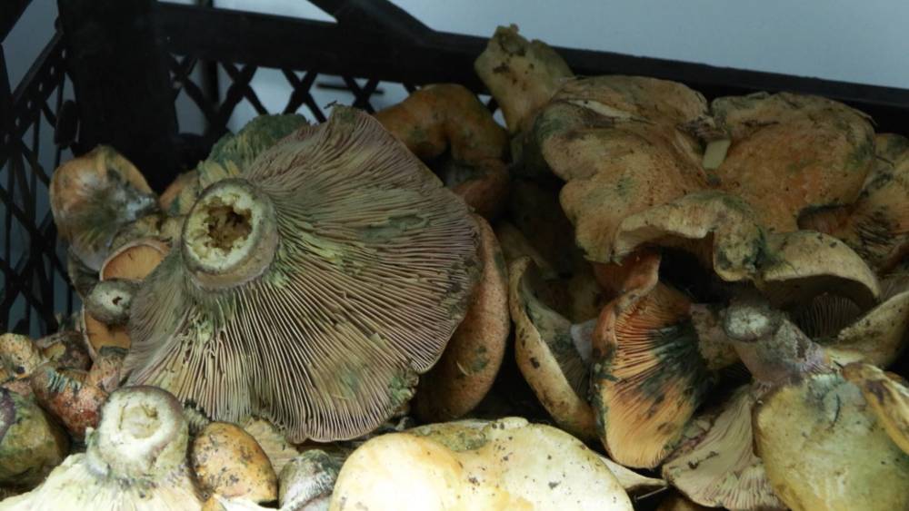 Bir ayda 60 kişi bu üründen zehirlendi!