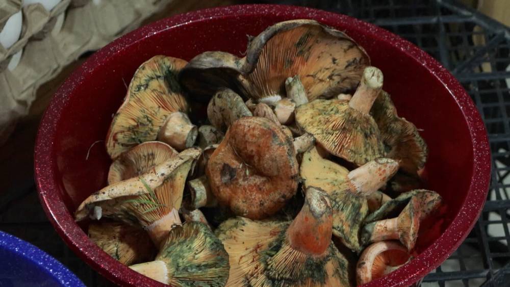 Bir ayda 60 kişi bu üründen zehirlendi!