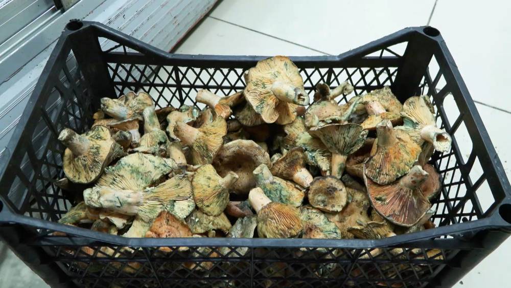 Bir ayda 60 kişi bu üründen zehirlendi!