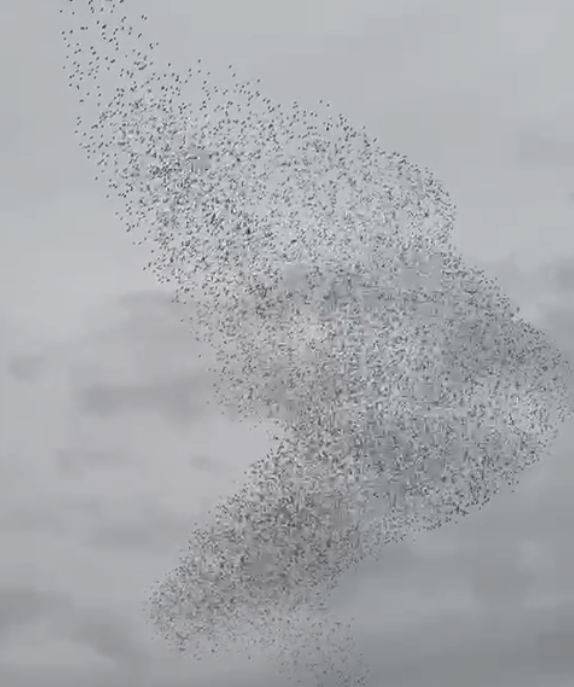 Konya'da gökyüzünde görsel şölen! Bakan bir daha baktı